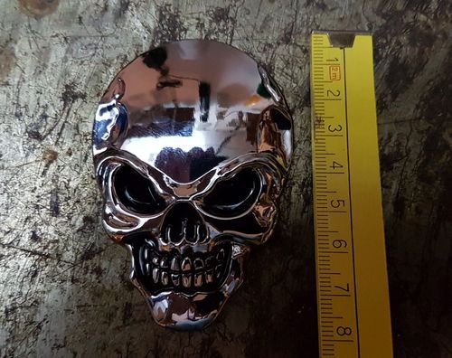 3D-Skull-large