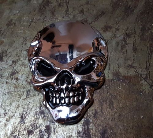 3D-Skull-large